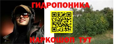 молекула духа Старая Купавна