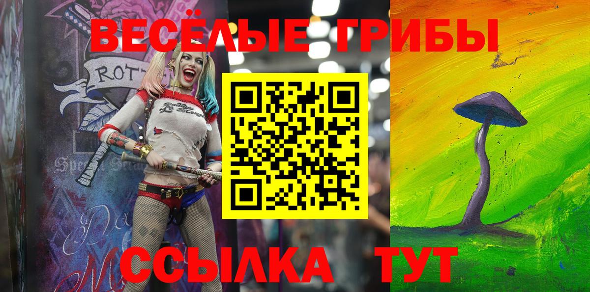 Галлюциногенные грибы Psilocybe Новосибирск
