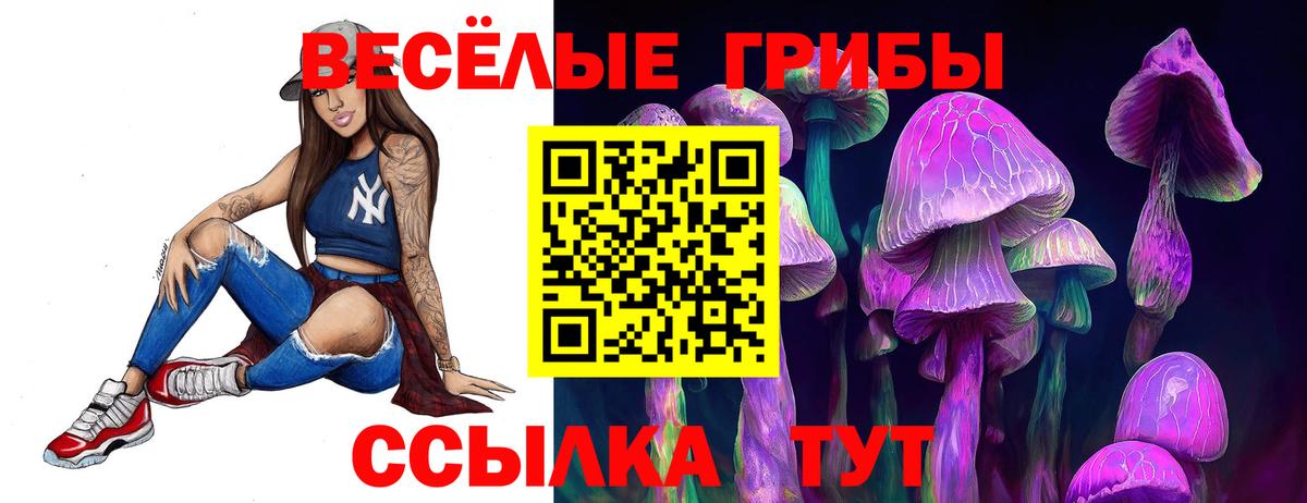 Псилоцибиновые грибы Psilocybe  Вход с VPN  Новосибирск 